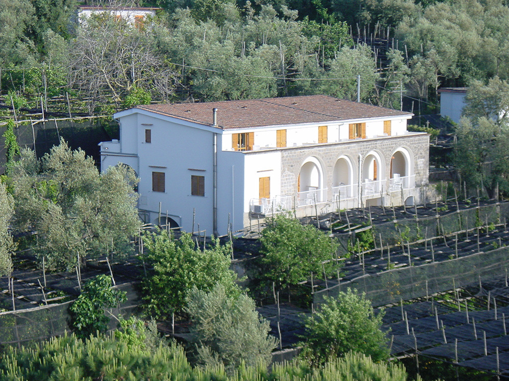 Grand Hotel Aminta®