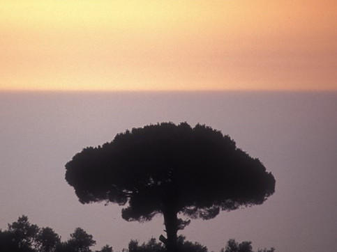 View from the Aminta