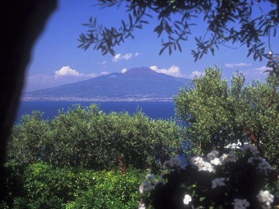 View of Mt. Vesuvius from the Aminta