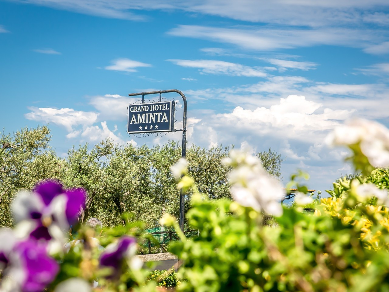 Grand Hotel Aminta®